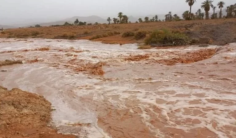 أمطار رعدية بعدد من الأقاليم الجنوبية