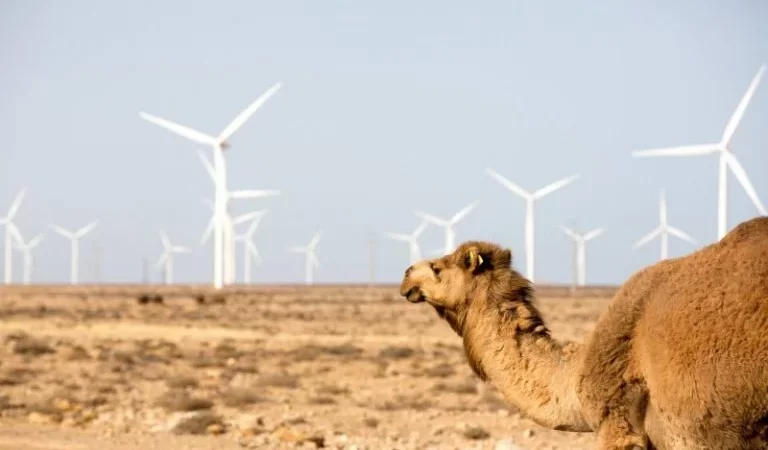 الطاقة الريحية تعزز الشراكة البريطانية المغربية