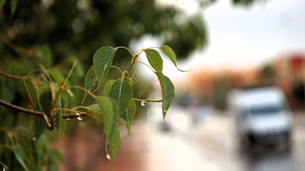 مقاييس الأمطار المسجلة بالمغرب في 24 ساعة