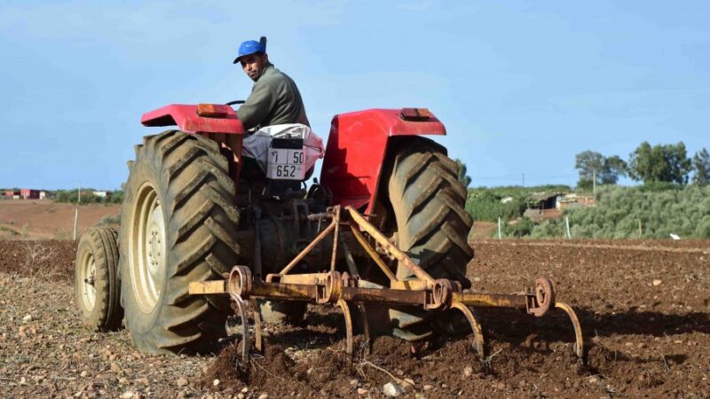 المندوبية السامية للتخطيط : نمو الاقتصاد المغربي مرتبط بالظروف المناخية الشتوية