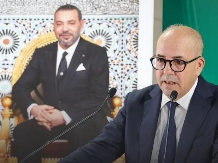 البواري يكشف البرنامج الحكومي الموجه لدعم مربي الماشية