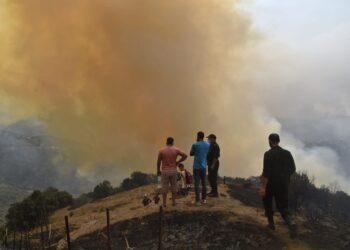 المياه والغابات تطلق خرائط لتحديد المناطق المهددة بحرائق الغابات