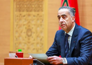 حموشي يؤكد اهتمام الأمن الوطني بحماية الثروة الغابوية