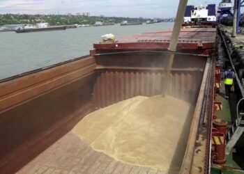 تراجع حاد في واردات المغرب من القمح الروسي: مؤشرات على تحولات استراتيجية في الأمن الغذائي