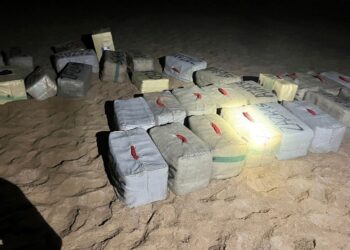 إحباط عملية تهريب للمخدرات بطاطا وحجز أزيد من نصف طن من الشيرا