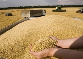 توسّع كازاخستان في أسواق التصدير: دخول قوي نحو المغرب وأفريقيا الشمالية