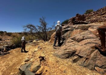 “وادي البقر”: اكتشاف أثري جديد يعزز سجل التراث الصخري في تافراوت المولود (تيزنيت)