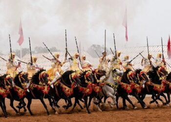 التبوريدة تتألق في الرباط: مهرجان “صهيل الخيل… صدى الأصالة” يحتفي بجذور الفروسية المغربية