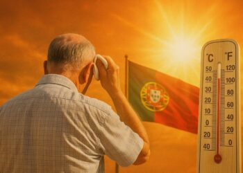 284 وفاة جديدة في البرتغال بسبب موجة الحر