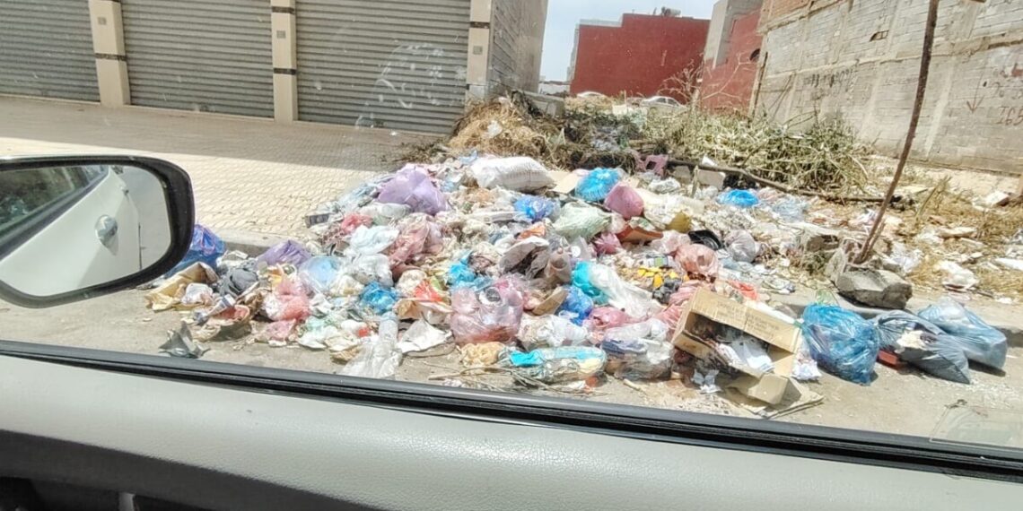 حي أليانس بالقنيطرة يئن تحت وطأة النفايات والكلاب الضالة