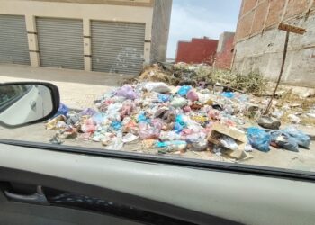 حي أليانس بالقنيطرة يئن تحت وطأة النفايات والكلاب الضالة