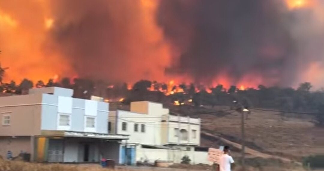 اندلاع حريق غابوي مهول في شفشاون يهدد المناطق السكنية ويوقف حركة السير