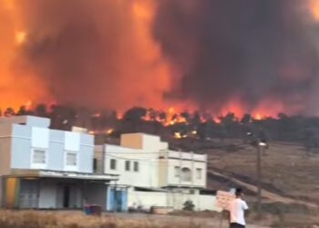 اندلاع حريق غابوي مهول في شفشاون يهدد المناطق السكنية ويوقف حركة السير