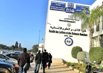 أساتذة باحثون: مشروع قانون التعليم العالي يحوّل الجامعة إلى جهاز إداري تابع للوزارة
