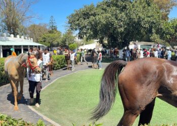 لقاء ببوزنيقة لبحث تحديات قطاع خيول السباق بالمغرب