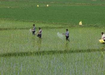 578 مليون دولار قيمة واردات الهند من الأسمدة المغربية خلال سبعة أشهر