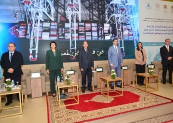 العدوي تبرز مجهود المحاكم المالية