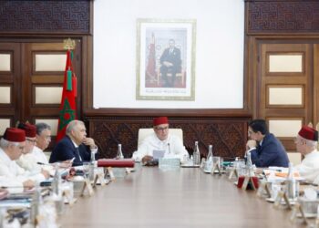 الحكومة تصادق على التعويضات عن المهام التي يتقاضاها طلبة كليات الطب والصيدلة والأسنان المتدربون