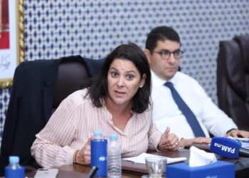 المنصوري: احتجاج الشباب نضج ديمقراطي ويجب التعبير عن المطالب داخل المؤسسات