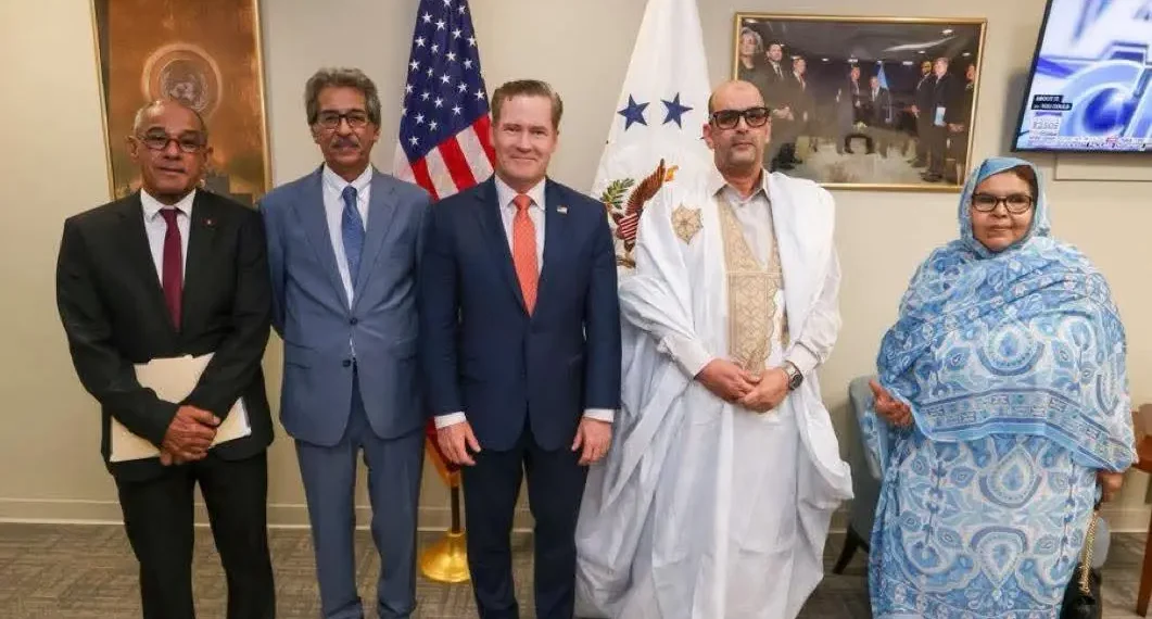 مسودة تلقائية