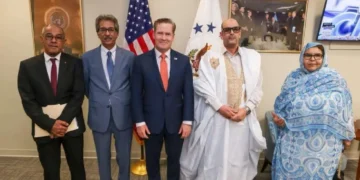 مسودة تلقائية