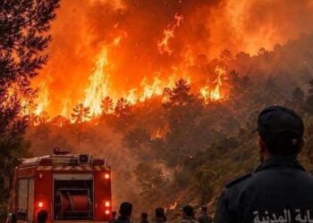 حرائق الجزائر وتونس.. عندما تشتد النيران على الأرض وتشتعل الفتنة على مواقع التواصل