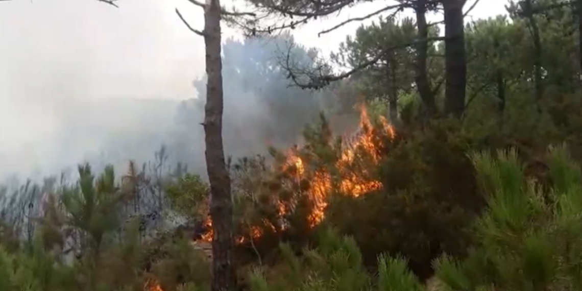 حريق غابوي ضخم يضرب طنجة والسلطات تسابق الزمن لتطويق النيران