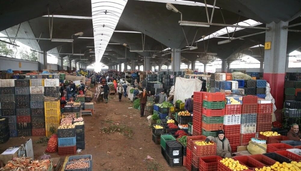 وفرة الإنتاج تخفض أسعار الخضر والفواكه بسوق الجملة بالدار البيضاء وسط مطالب بانعكاسها على المستهلك