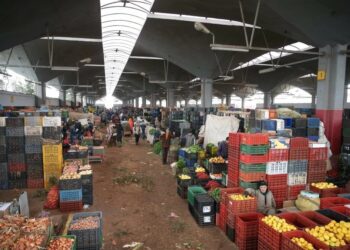 وفرة الإنتاج تخفض أسعار الخضر والفواكه بسوق الجملة بالدار البيضاء وسط مطالب بانعكاسها على المستهلك