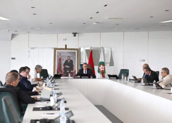 استراتيجية جديدة تقود كرة القدم النسوية المغربية نحو الاحتراف