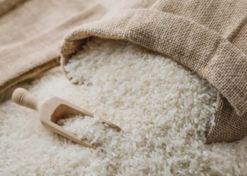 أزمة الأرز بالغرب تتصاعد.. الفلاحون يطالبون بحماية الإنتاج المحلي  متابعة #غيثة_الكوكي