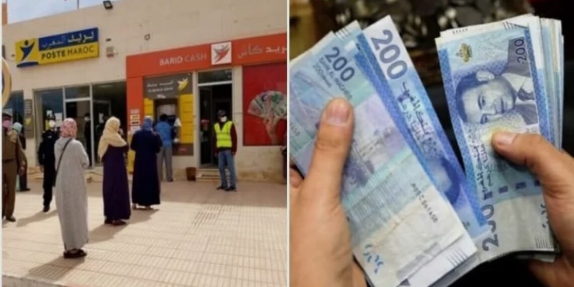 منحة استثنائية تقلب معادلة الدعم الاجتماعي.. الأسر لن تفقد الإعانة فور الالتحاق بالعمل
