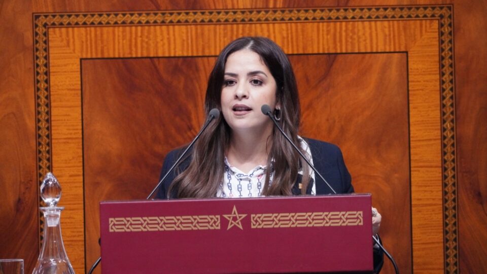 ريم شباط تستقيل من البرلمان وتستعد لمعركة انتخابية جديدة باسم الحركة الشعبية