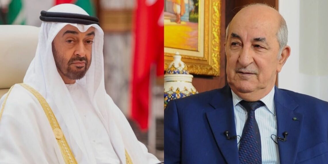 قرقاش يرد على الجزائر بعد قطع العلاقات مع الإمارات: «الغموض ليس سياسة والضجيج لا يعوض غياب الرؤية»