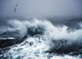 المحيط الأطلسي يسجل جفافا تاريخيا ويكسر رقما قياسيا عمره 60 عاما